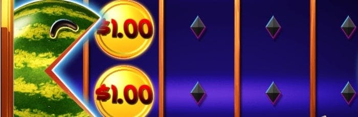 suporte da estrela bet